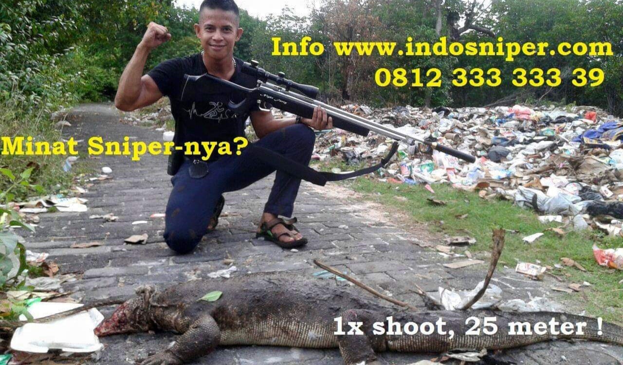 Jual Senapan Angin: Tips Upgrade Power Secara Aman