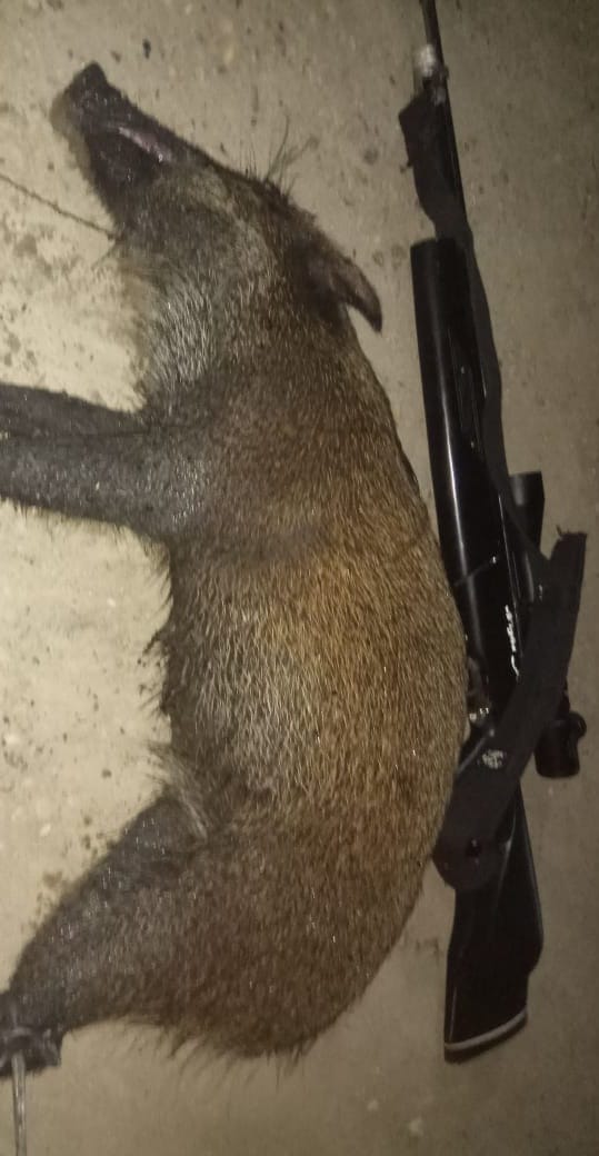 Menjemput Keberhasilan di Lapangan: Kunci Sukses dari Sebuah Ketepatan dan Konsistensi